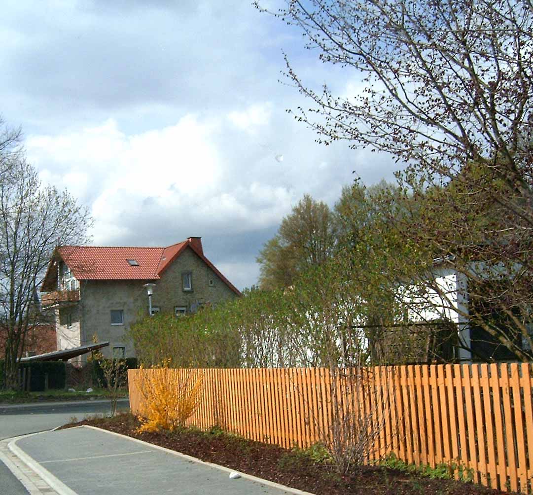 zaun1